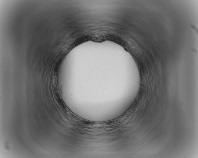 X0000098040129200804071451