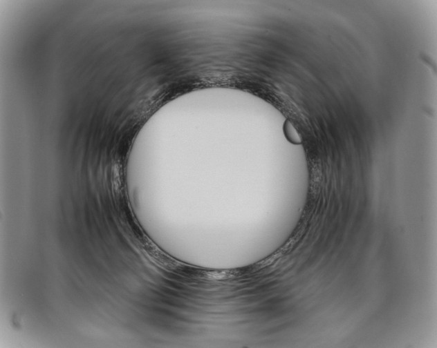 X0000098040130200804071451