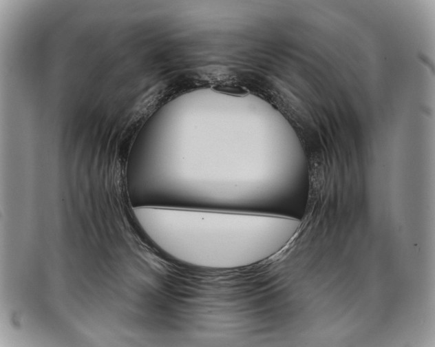 X0000098040132200804071451