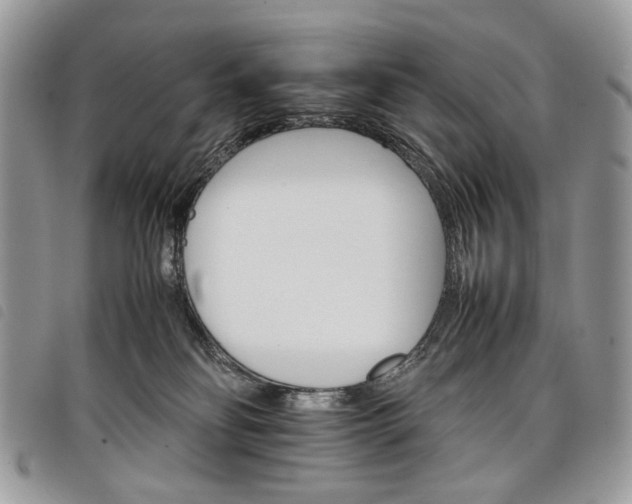 X0000098040134200804071451