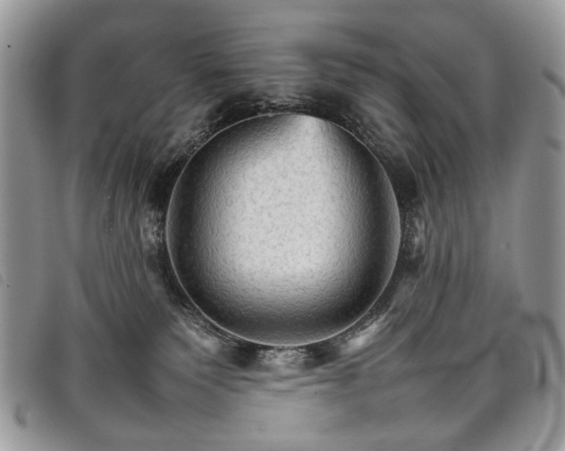 X0000098040135200804071451