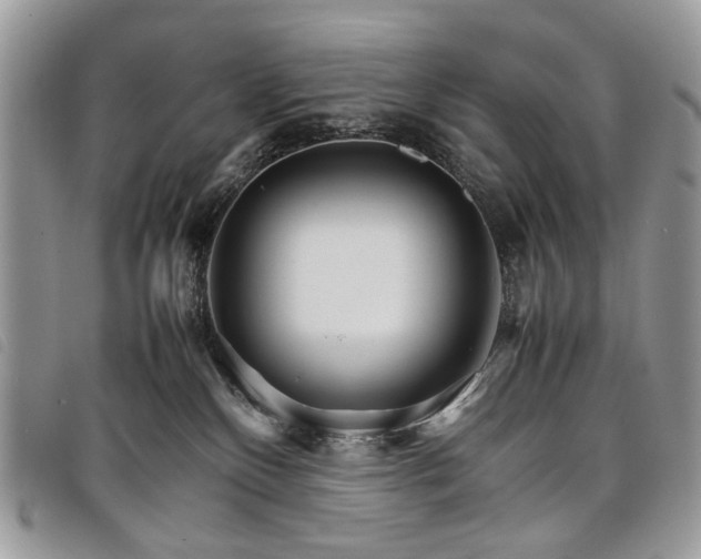 X0000098040136200804071451