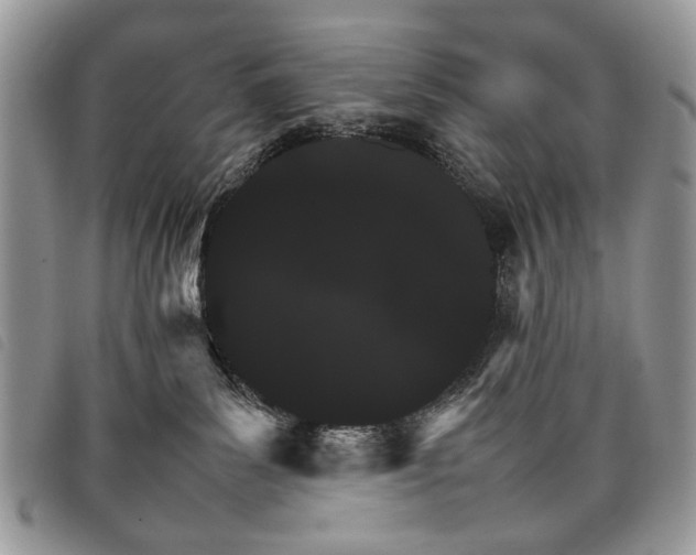 X0000098040139200804071451