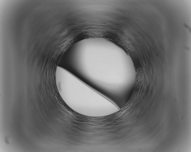 X0000098040141200804071451