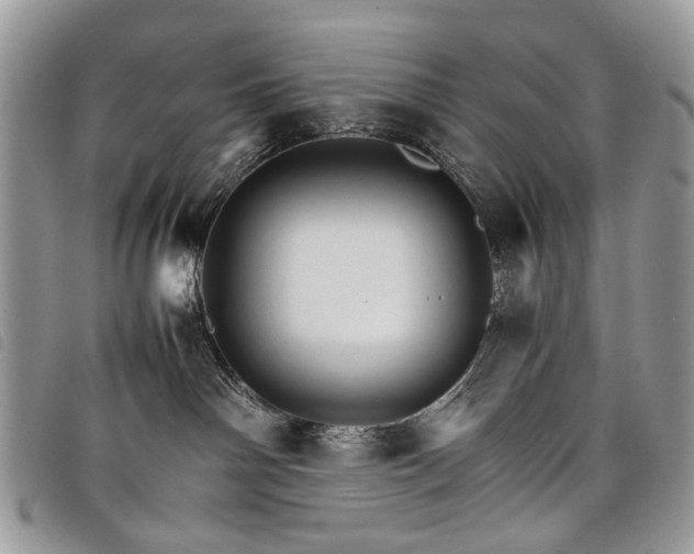 X0000098040142200804071451