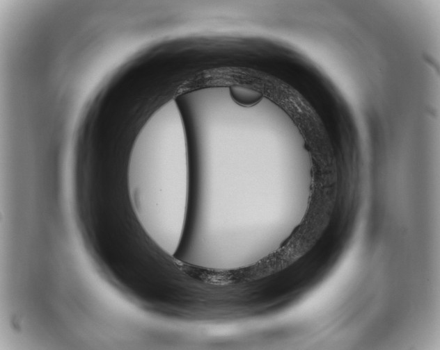 X0000098040143200804071451