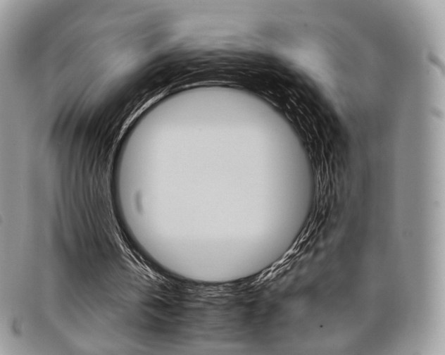 X0000098040146200804071450