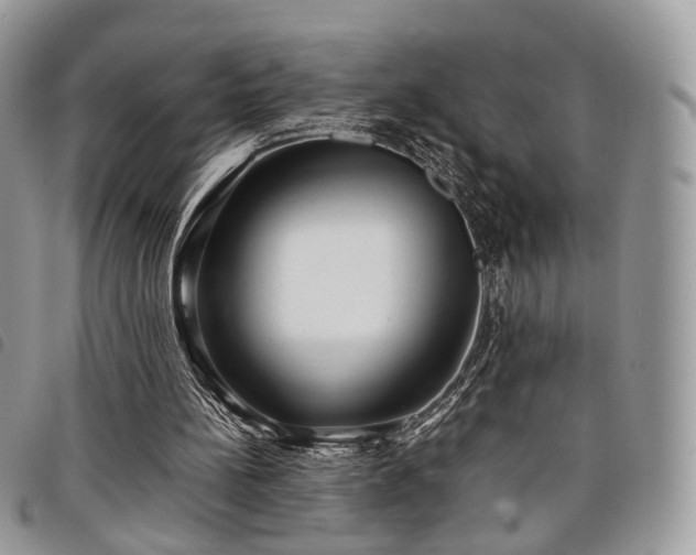 X0000098040148200804071450