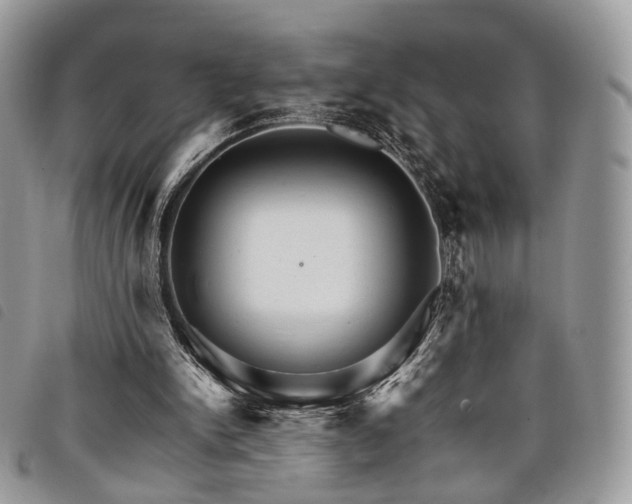 X0000098040150200804071450