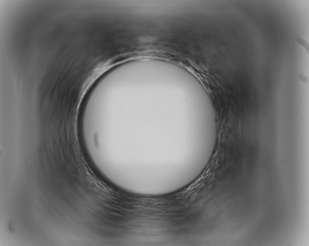 X0000098040152200804071450
