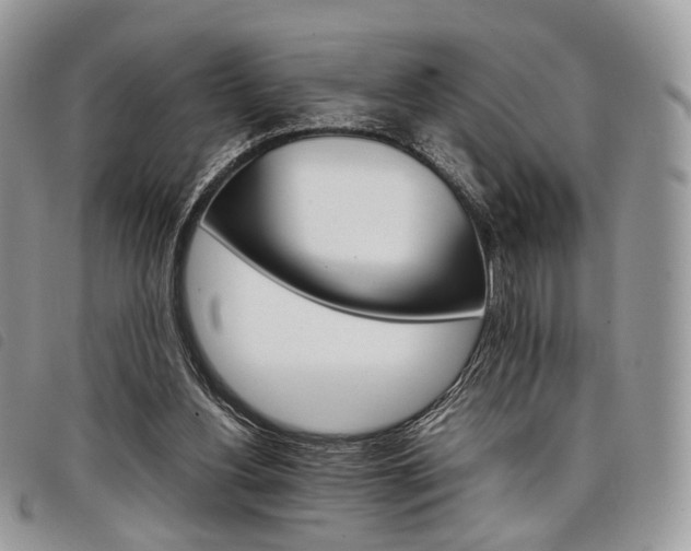 X0000098040156200804071450