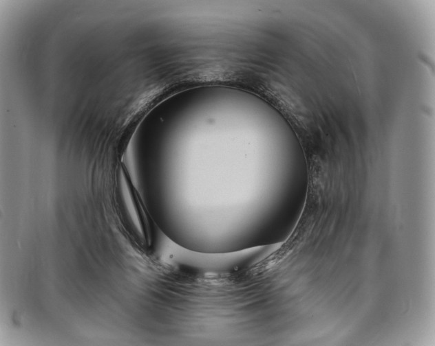 X0000098040164200804071450