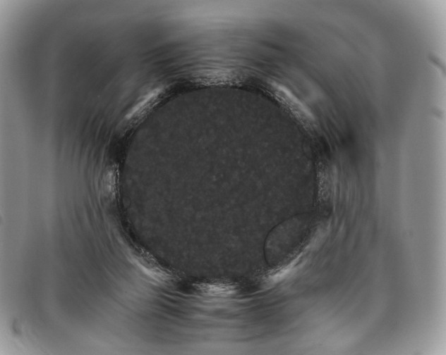 X0000098040165200804071450