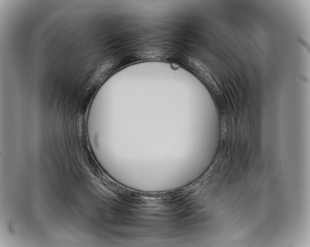 X0000098040167200804071450
