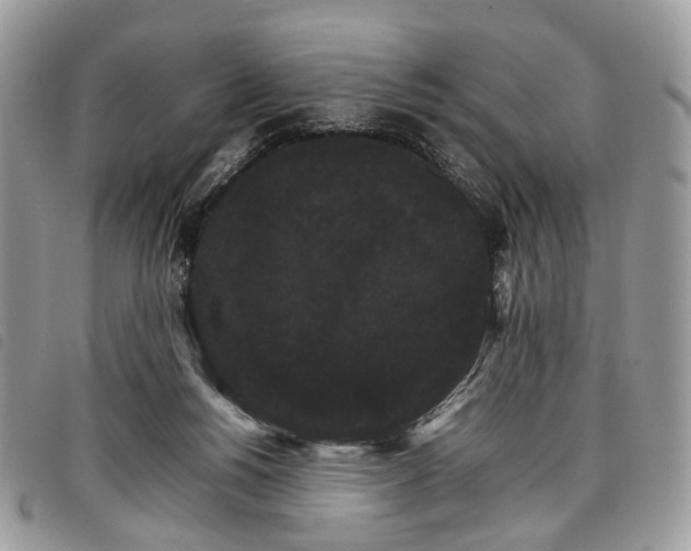 X0000098040168200804071450