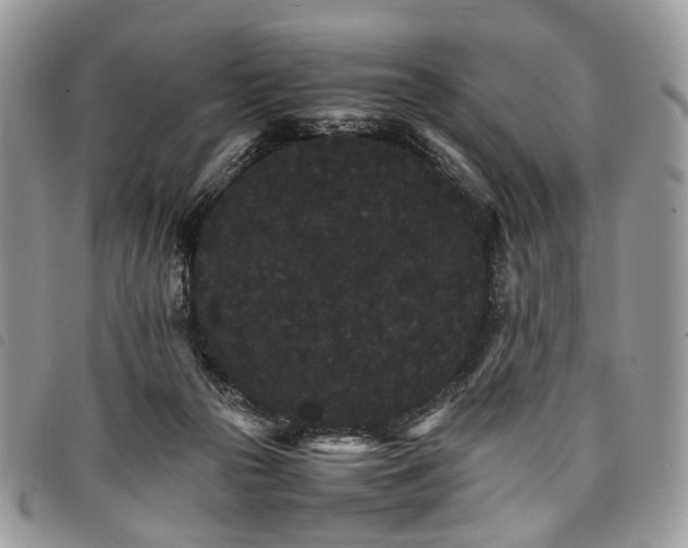X0000098040169200804071450