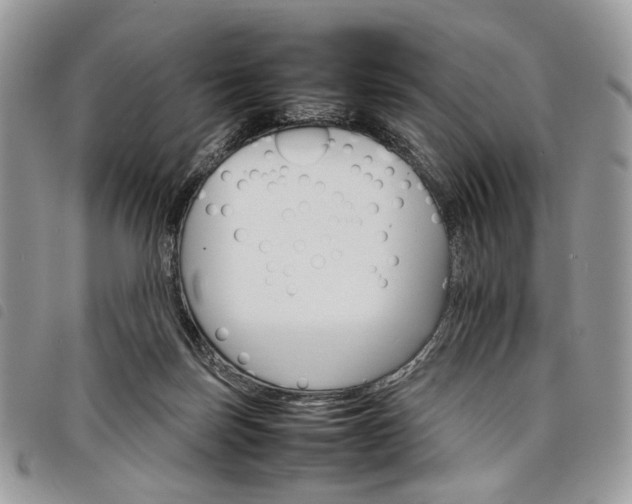 X0000098040171200804071450