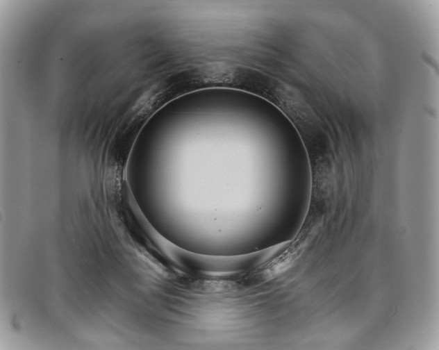 X0000098040172200804071450