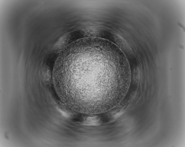 X0000098040173200804071450