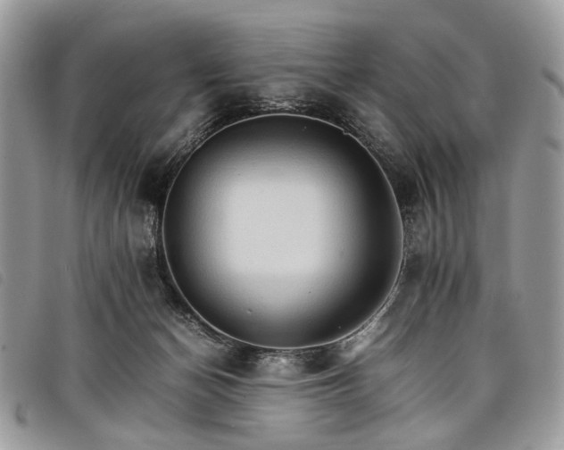 X0000098040174200804071451