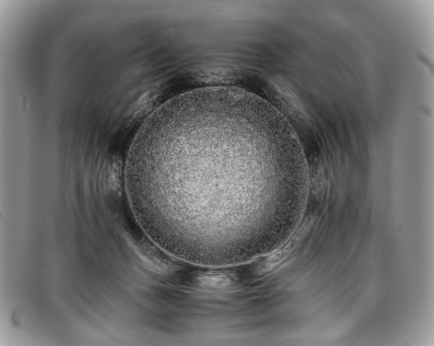 X0000098040175200804071451
