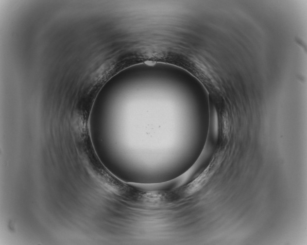 X0000098040176200804071451