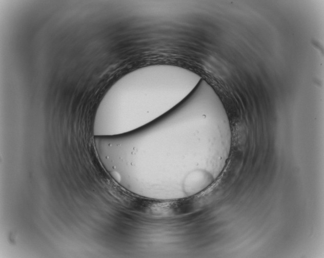 X0000098040178200804071451
