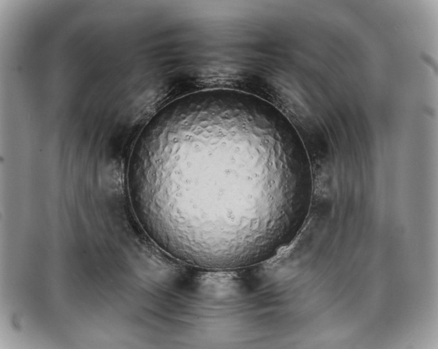 X0000098040179200804071451