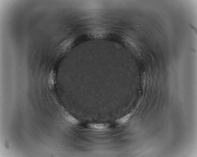 X0000098040181200804071451
