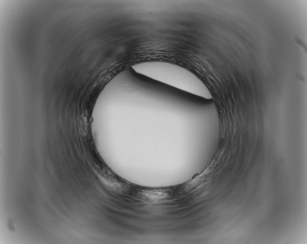 X0000098040183200804071451