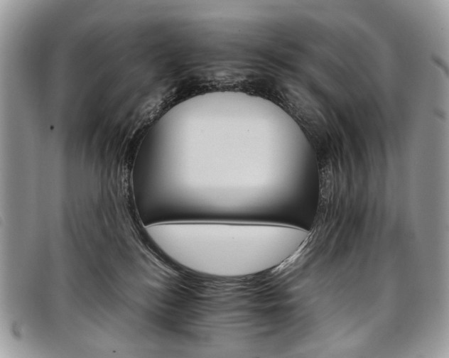 X0000098040184200804071451