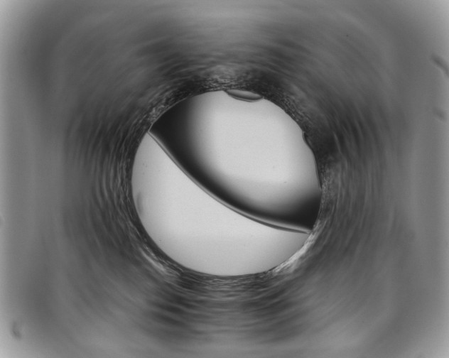 X0000098040186200804071451
