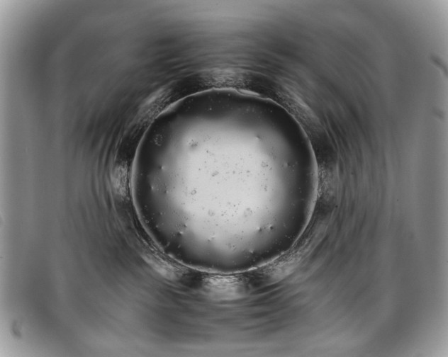 X0000098040189200804071451