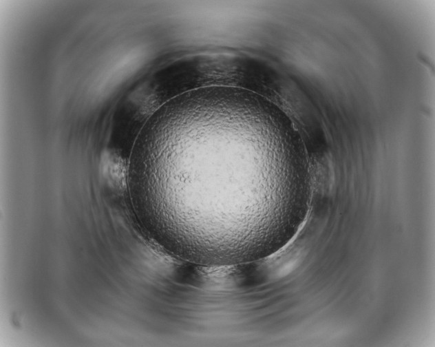 X0000098040191200804071451