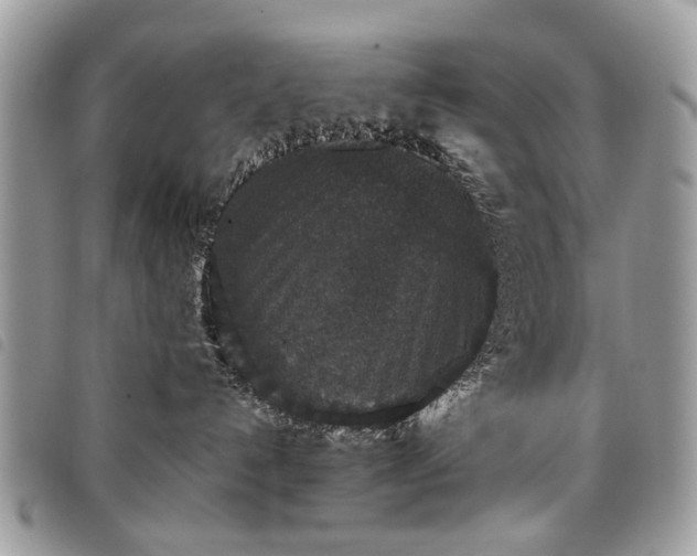 X0000098040192200804071451