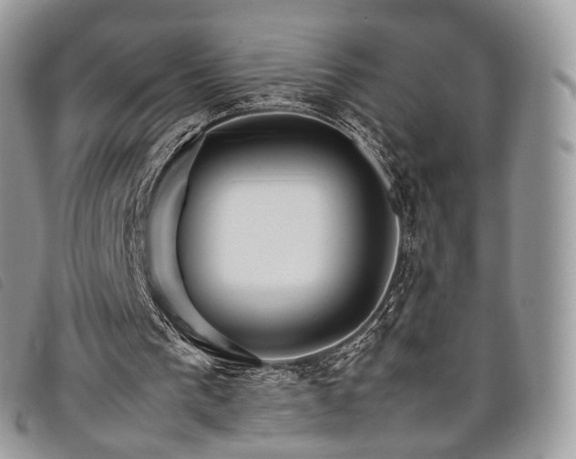 X0000098040193200804071450
