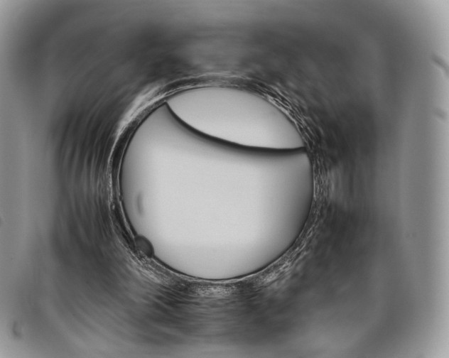 X0000098040198200804071450