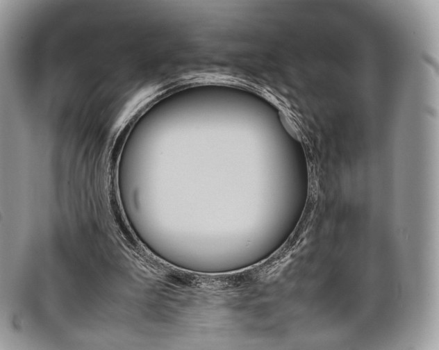 X0000098040199200804071450