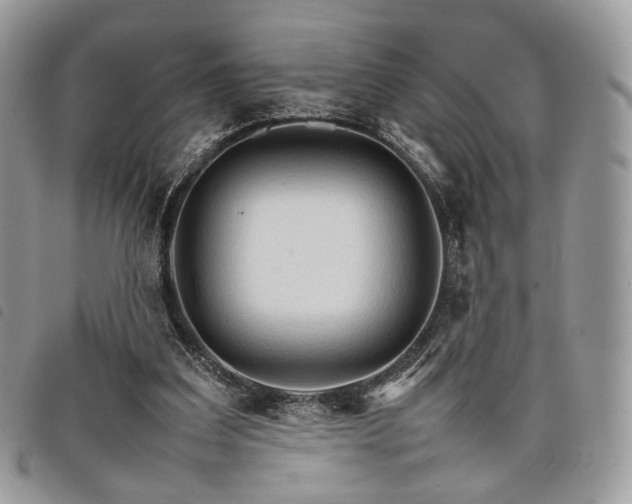 X0000098040203200804071450