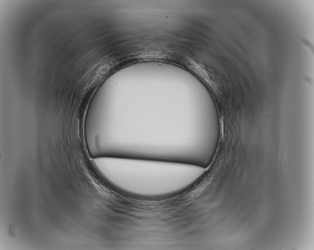 X0000098040205200804071450