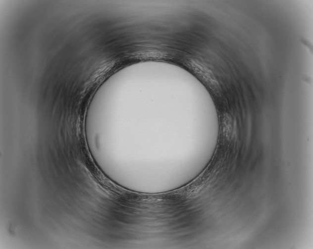 X0000098040206200804071450