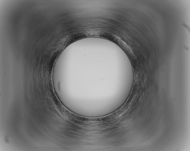 X0000098040209200804071450