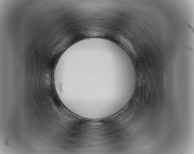 X0000098040210200804071450