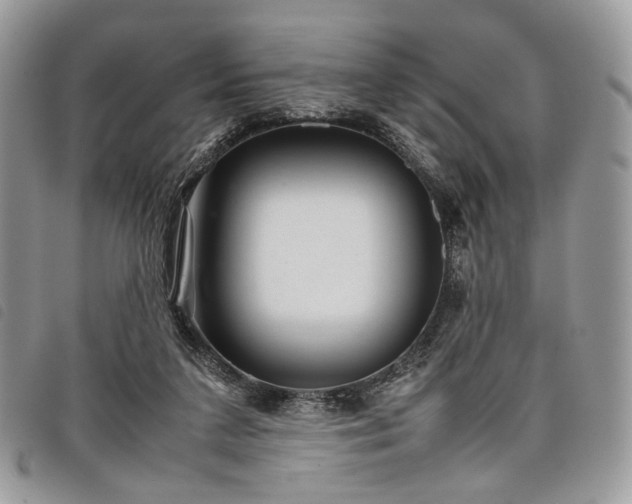 X0000098040211200804071450