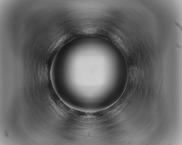 X0000098040212200804071450
