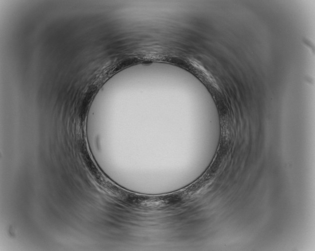 X0000098040213200804071450