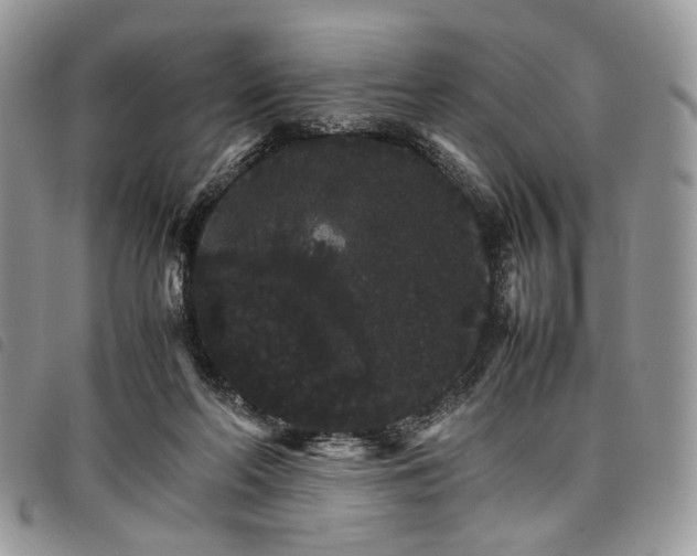 X0000098040214200804071450