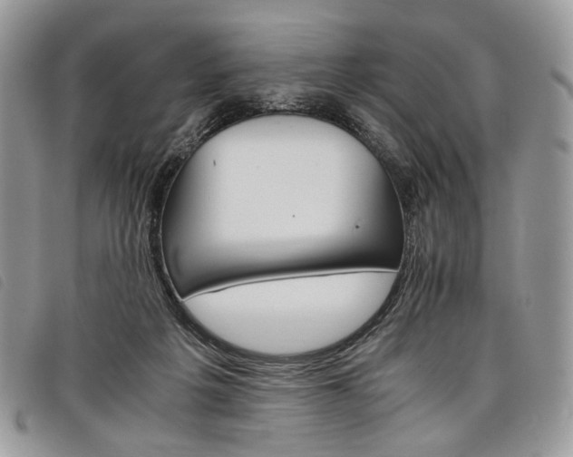 X0000098040217200804071450