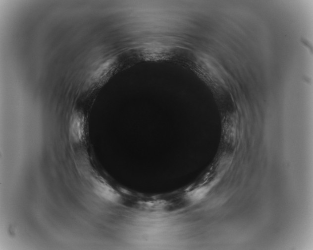 X0000098040219200804071450