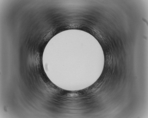 X0000098040220200804071450
